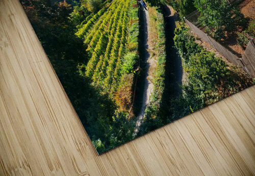 German Vineyard JulesSnow puzzle