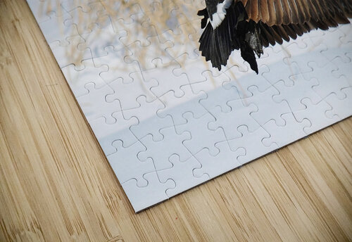 Winter Goose Brenda Lawlor puzzle