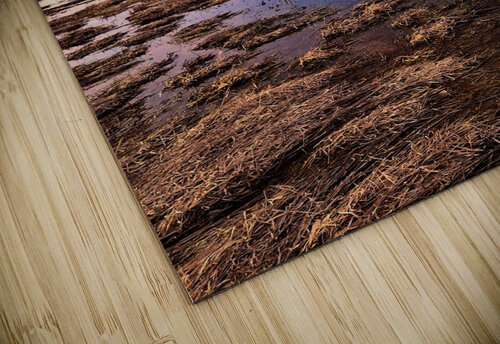 Sunset Skies Mel Green Photography puzzle