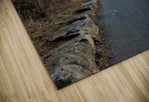 Springside Park Trail - Napanee Mel Green Photography puzzle