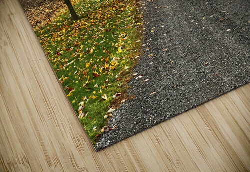 Fall Colours Mel Green Photography puzzle