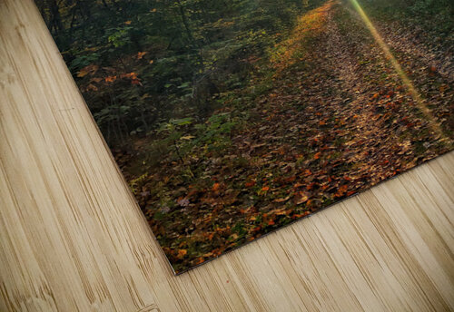 Fall Trail Mel Green Photography puzzle