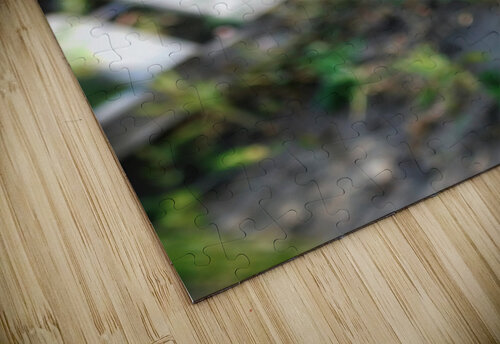 Wasp on Flower Mel Green Photography puzzle