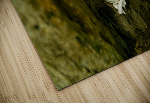 Gem   FINAL JPG Deexibit puzzle