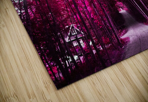 pink lane jpg Deexibit puzzle