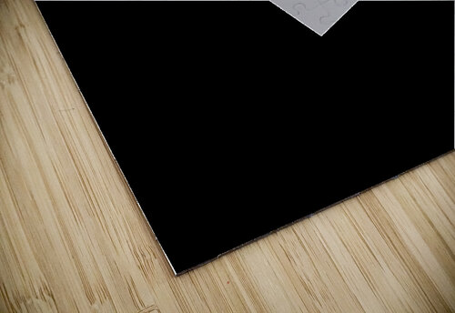 2Eggs Kerry Romano Zall puzzle