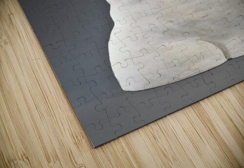 MaleTorso Kerry Romano Zall puzzle