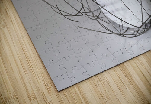 nest1 Kerry Romano Zall puzzle