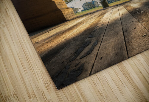 Let the light in Imma Barrera puzzle