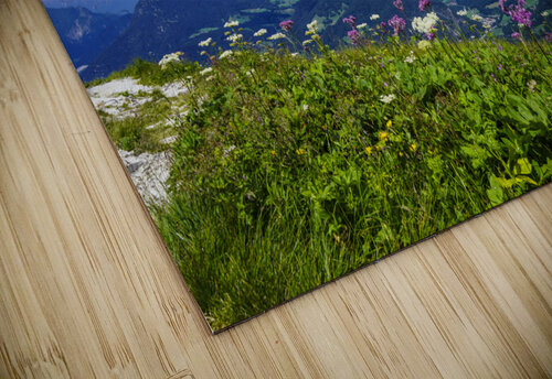 Flowers on Top of the World at Mount Kehlstein in Berchtesgaden in Bavaria Germany 360 Studios puzzle