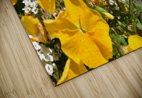 8A15EAFD 0E52 4A96 AD6F 6268405FBCF6 Carlotta Kay Blanc puzzle