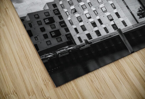 Rise High Nicky DK puzzle