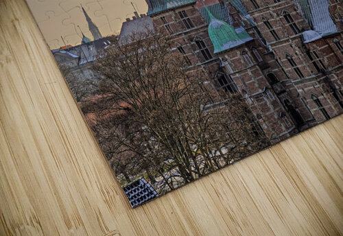 Copenhagen Asmus Koefoed puzzle