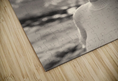 D 1x puzzle