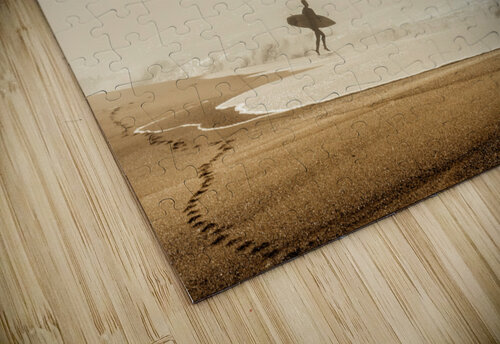 Surfer 1x puzzle