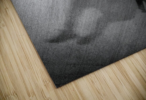 love in the air 1x puzzle