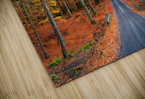Road into autumn 1x puzzle