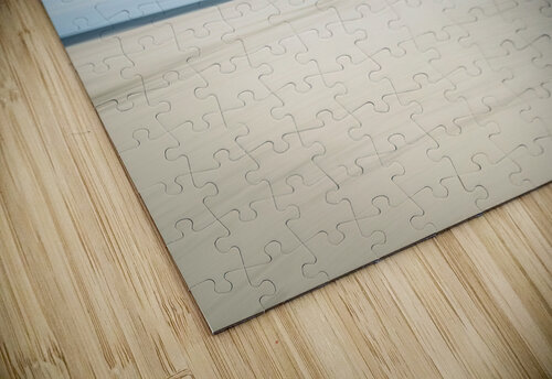 birds at the seaside 1x puzzle