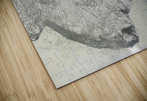 Save the Rhino Grant Netherlands puzzle