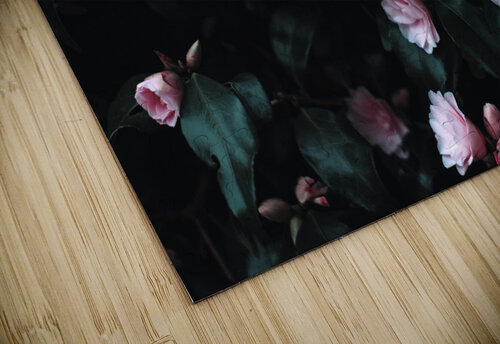 Hug my soul Chatz Schwab puzzle