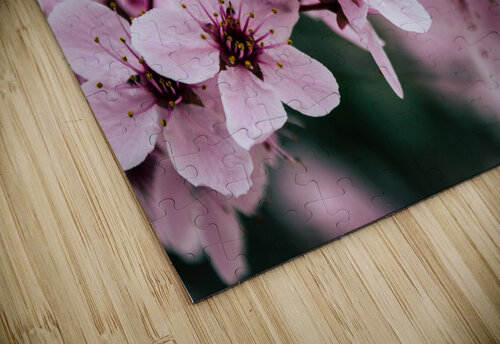 Floral Dream Chatz Schwab puzzle