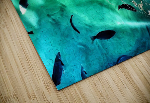 Light Swimming Mark Overbye puzzle