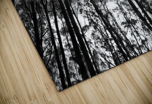 Sutro Peak Bill Osuch puzzle