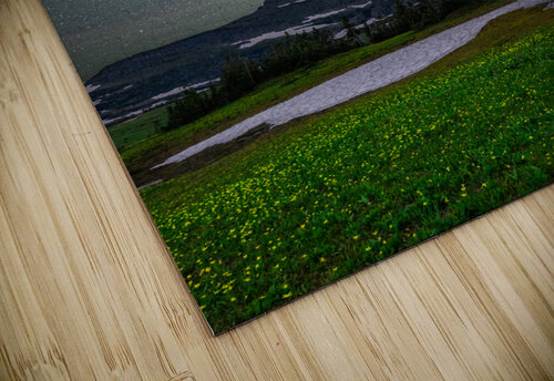Mt Reynolds Imma Barrera puzzle