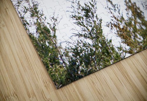 Pheasant 2 unspoken adventures puzzle