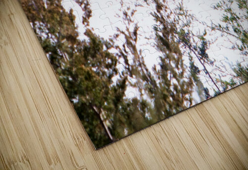 Pheasant 1 unspoken adventures puzzle