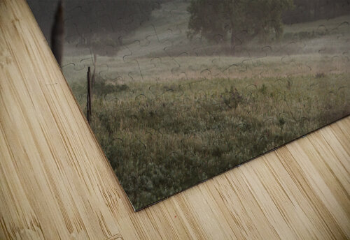 Foggy Fenceline unspoken adventures puzzle