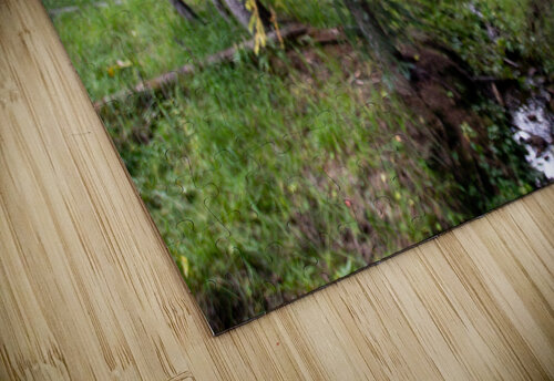 Hunter unspoken adventures puzzle