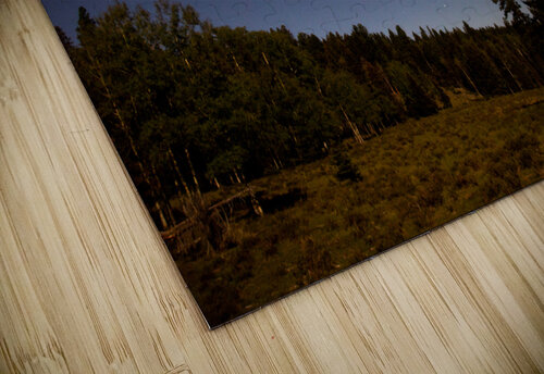 Moonlit Stars unspoken adventures puzzle