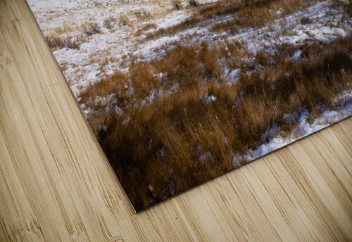 Snow Mountain unspoken adventures puzzle