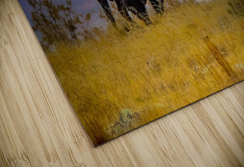 Strength of the Wichitas Susan Diann Photography puzzle