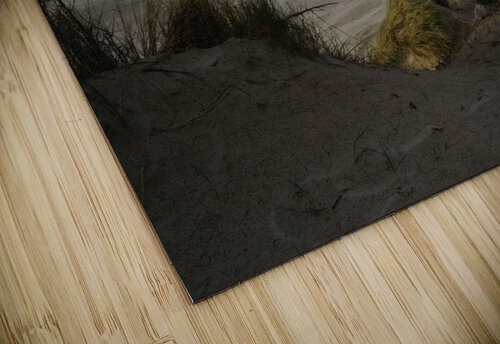 Beach in winter Cedric Doz puzzle