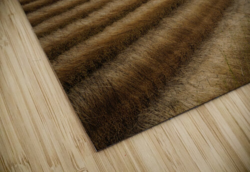 Normandy field Cedric Doz puzzle