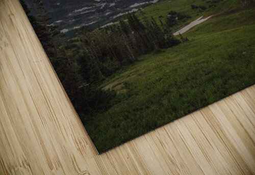 Logan Pass LO Imma Barrera puzzle