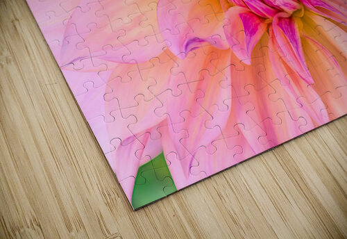 Dahlia Pink Ice Sheen Watkins puzzle