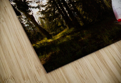 Moonlit Tent unspoken adventures puzzle