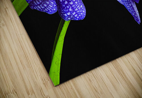 Dramatic Orchids Sheen Watkins puzzle