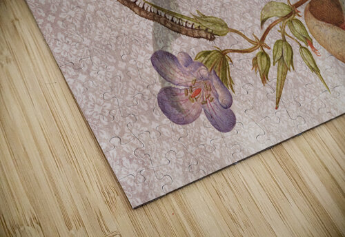 Fantastic Fungi Cathleen Klibanoff puzzle