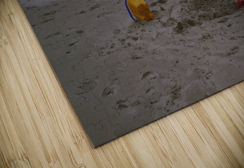 Winter beach in France Cedric Doz puzzle