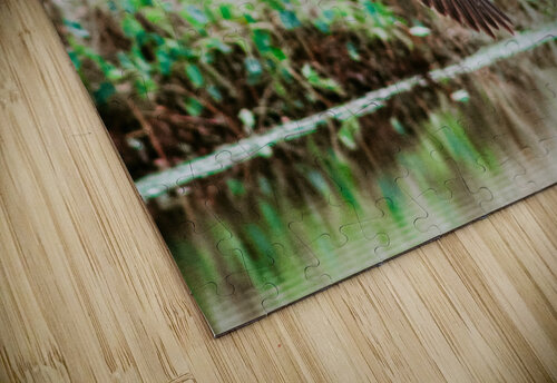 51AB78AD CEDA 4A0E B264 E44C17F70147 Kalei Sutton puzzle