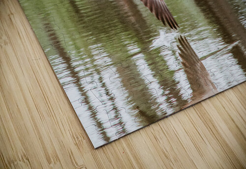 B7DCA13C 2177 46DC ABD2 30CB7D01CFE2 Kalei Sutton puzzle