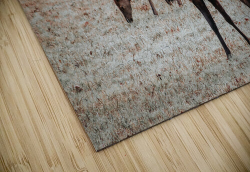 E60A8154 5406 4B68 8874 98C4A4E5B47C Kalei Sutton puzzle