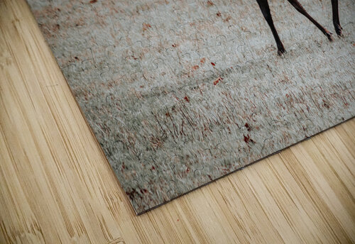 Elk Kalei Sutton puzzle