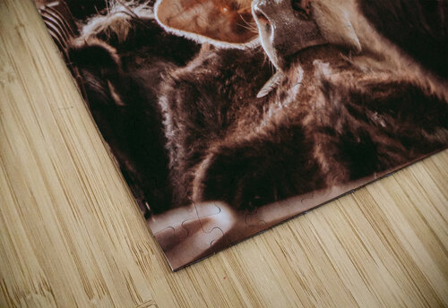 Take The Bull By The Horns Kalei Sutton puzzle