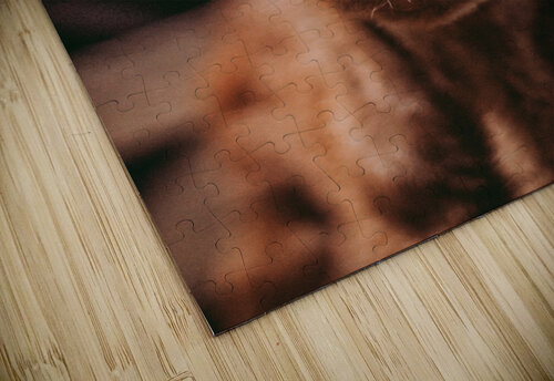 Cute Calf Kalei Sutton puzzle