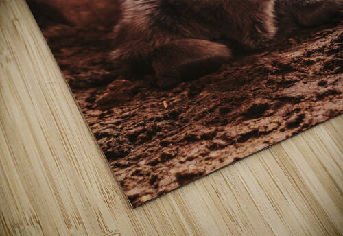 Calf Kalei Sutton puzzle